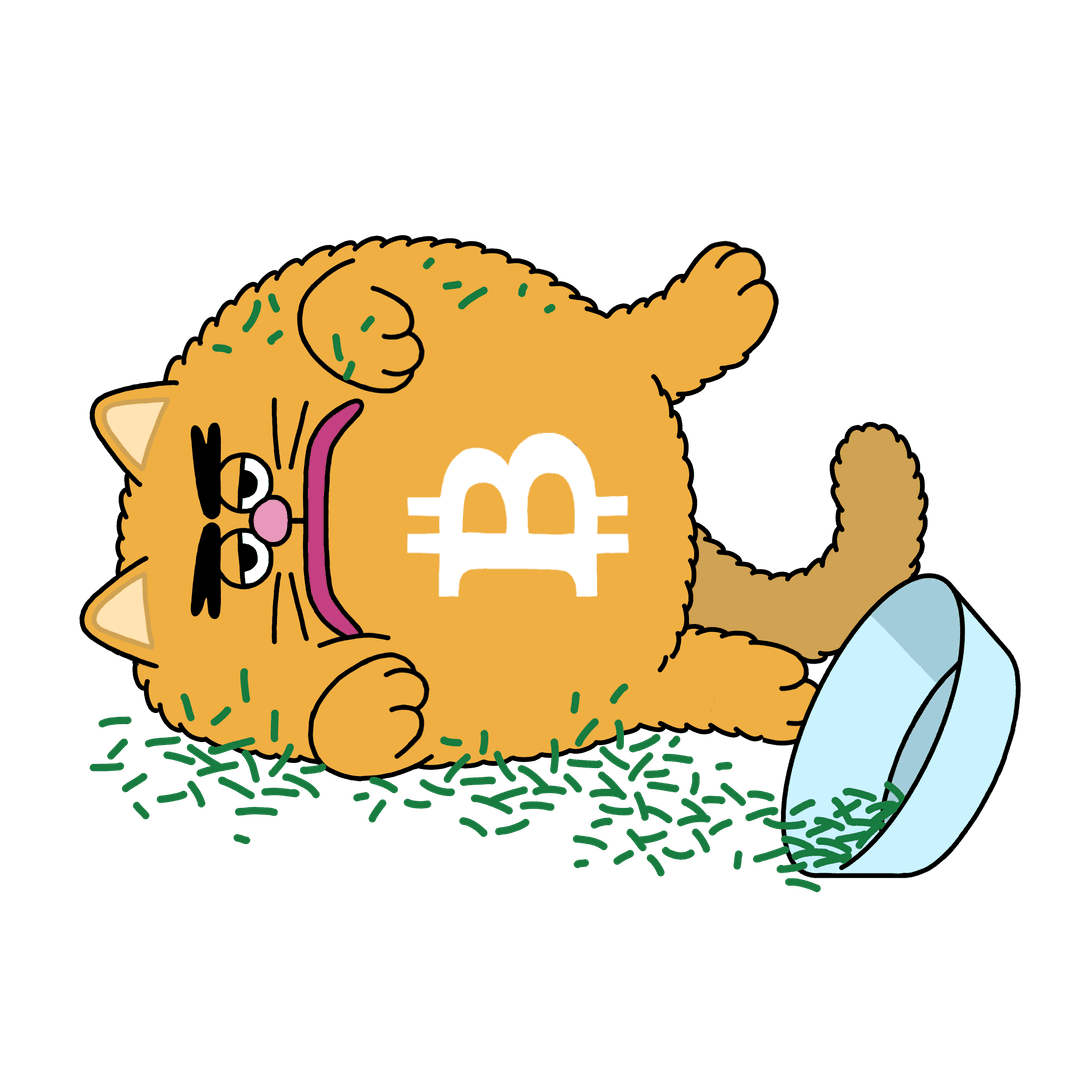 bitcoin cat