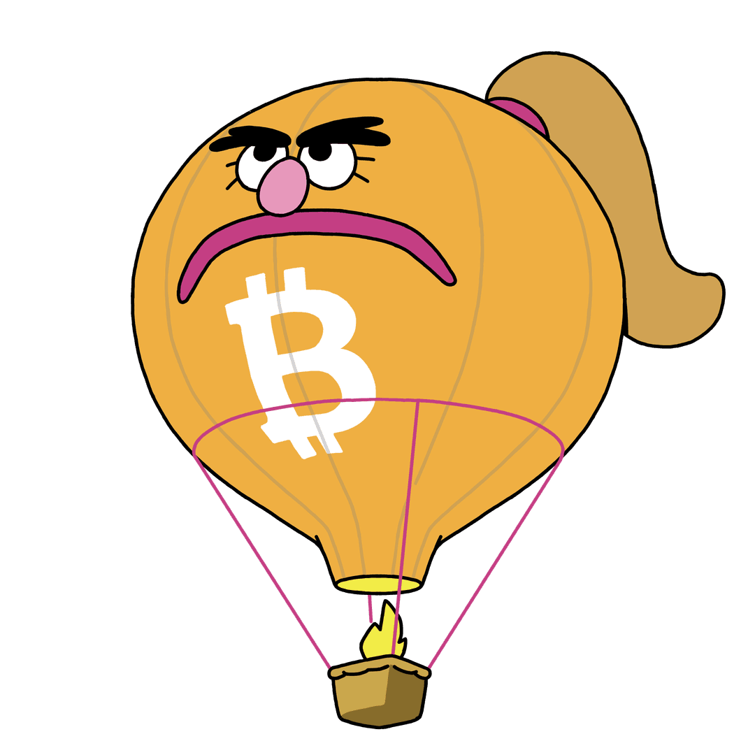 bitcoin hot air balloon