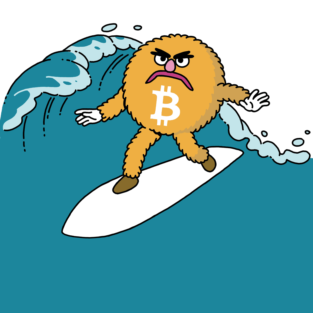 bitcoin surfing